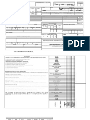 Formulario de Solicitud de Tramites Del Registro Nacional Automotor | PDF |  Placa de matrícula del vehículo | Coche