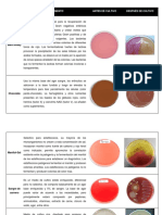 Medios de cultivo para aislamiento y diferenciación bacteriana