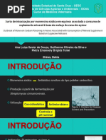 APRESENTAÇÃO METODO (1)