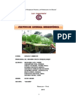 Proyecto Lechuga Hidroponica para Correo