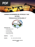 Grados API: Medición de Densidad Petrolera | PDF | Petróleo | Líquidos