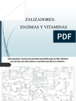 Enzimas_y_vitaminas y Acidos Nucleicos Final (1)