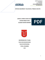 Diseño Del Sisema de Gestion de Seguridad y Salud en El Trabajo Attica Biomedica