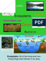 Ecosystem Notes Powerpoint