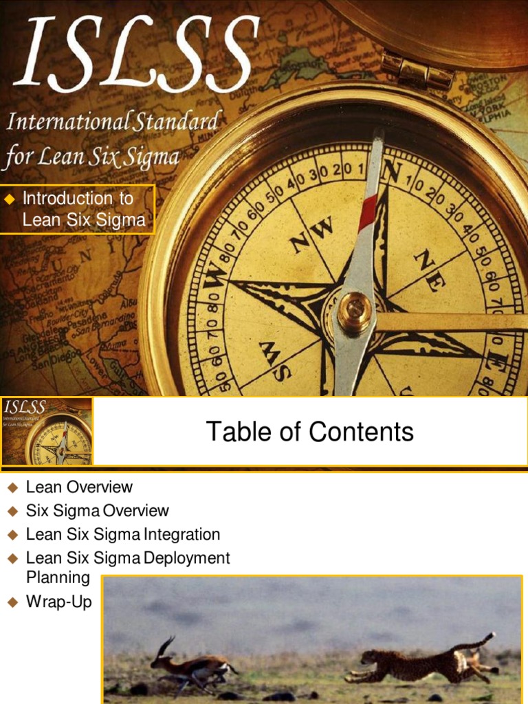 Intro To Lean Six Sigma White Belt | PDF | Lean Manufacturing | Six Sigma