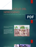 Ciclo Del Nitrogeno