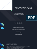 ARAWUANA AZUL.pdf