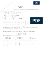 10 Taller 1 Matrices