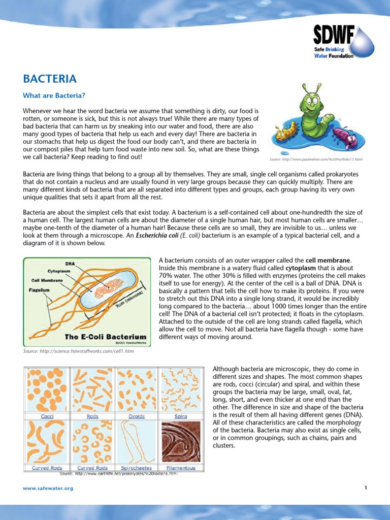Bacteria Pdf Pathogen Bacteria