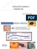 Hymenolepsis Nana y Diminuta