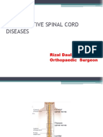 Degenerative Spinal Cord Diseases: Rizal Daulay Orthopaedic Surgeon