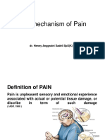 Mechanism of Pain