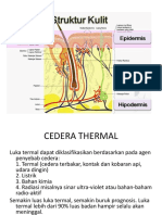 Cedera Termal - PPT (Autosaved)