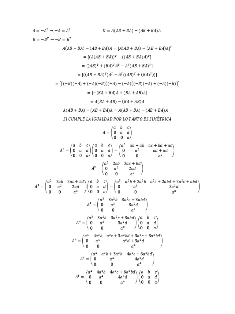 Matrix Operations and Properties Explained | PDF