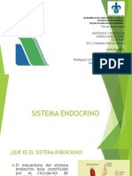 Sistema Endocrino