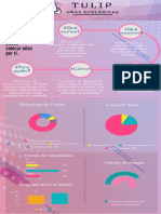 Infografía Tulip