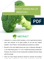 Post Harvest Handling of Broccoli