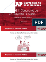 10.- Proyectos de Inversión Pública.pdf