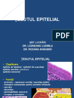 01.Tesut_epitelial_2016_2017.pdf