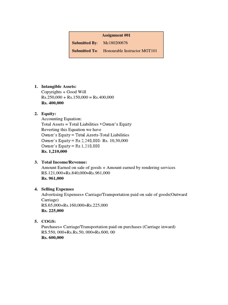MGT 101 Assignment 1 Solution 2025 | PDF | Finance & Money Management