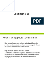 Leishmania SP