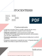 Cystocentesis  K4.pptx