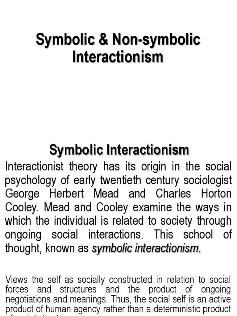 social interaction theory