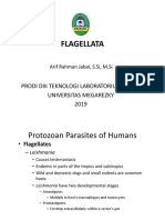 Flagellata: Prodi Diii Teknologi Laboratorium Medik Universitas Megarezky 2019