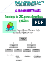 Tecnología de CMC Gomas y Pectinas