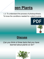 green plants - 2