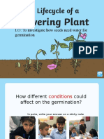 t-t-2547035-the-lifecycle-of-a-flowering-plant-powerpoint ver 1