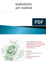 PPT-METABOLISME-NUKLEAT