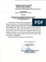 CPNSD Kabupaten Nagekeo November 2019