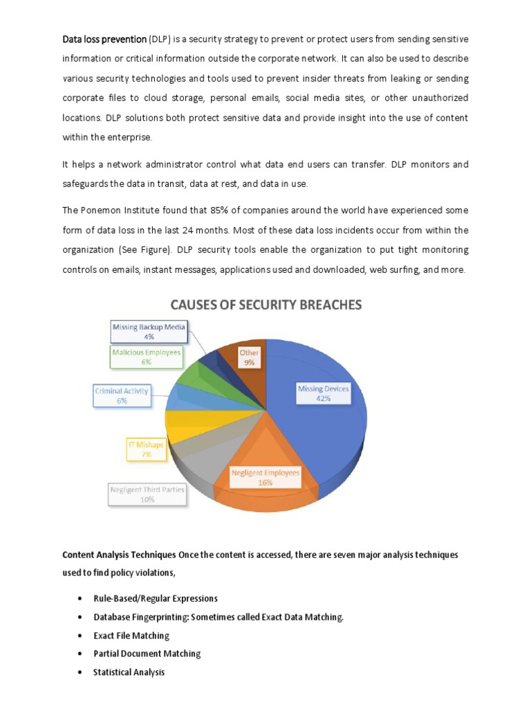 Understanding Data Loss Prevention Strategies | PDF | Computers