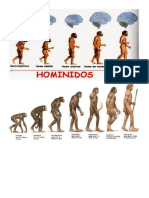 Imagen Evolución de Los Homínidos