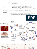 Malaria Manifestasi