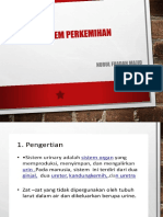 Sistem Perkemihan