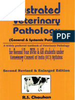 Veterinar'I Pathology: Usrae