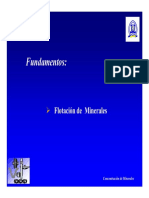 Transparencias_Clases_Fundamentos_Flotaci_n.PDF