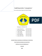 Cytomegalovirus Kel 6 3B