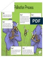 t-t-26320-pollination-information-poster