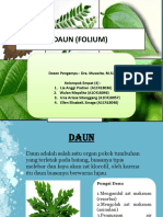 Daun (Folium)