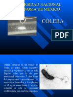 Genero Vibrio Cholera