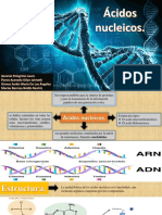 Los ácidos nucleicos: estructura y función