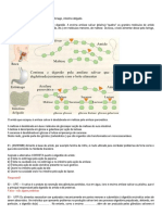 013a3 - Boca - Digestão Química