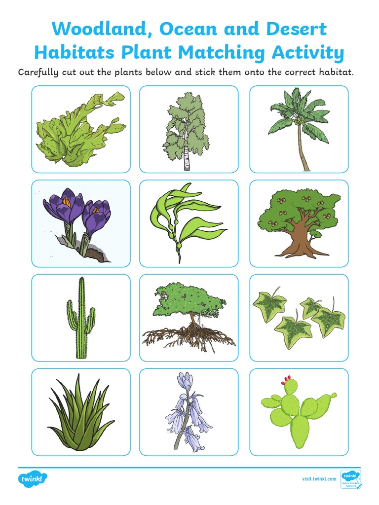 Plant Matching Activity