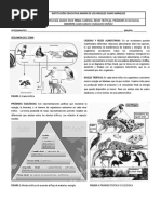 Guía 9 Biología Grado Once