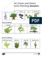 Woodland, Ocean and Desert Habitats Plants Matching Answers