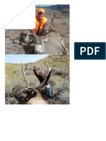 5032-CO-S-C-1295-003-ElkMDeerAntelope-A1YL-LARRB-O1EJ-Walk Into Deer, Elk and Antelope PDF