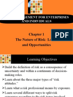 The Nature of Risk: Losses and Opportunities